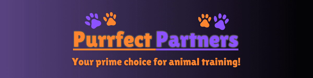 Purrfect Partners Website banner
